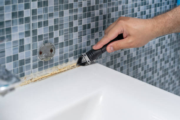 Best Industrial Mold Remediation in Travilah, MD
