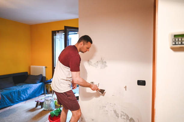 Professional Mold Remediation in Travilah, MD